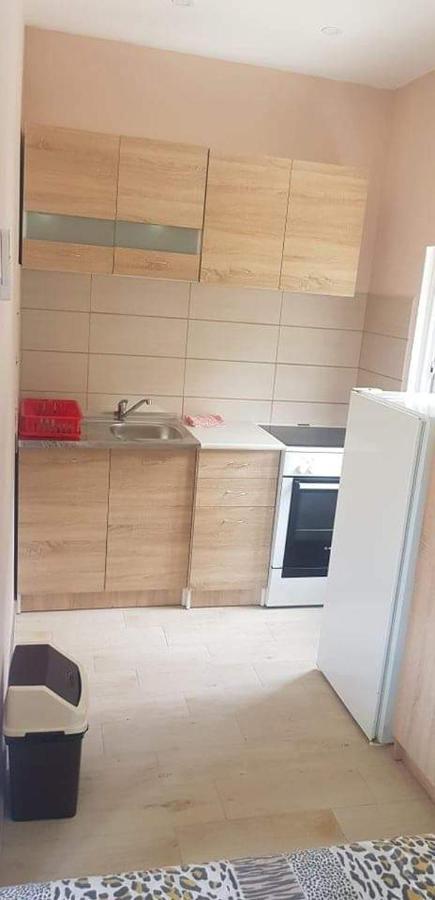 Apartments Tadic Petrovac Extérieur photo