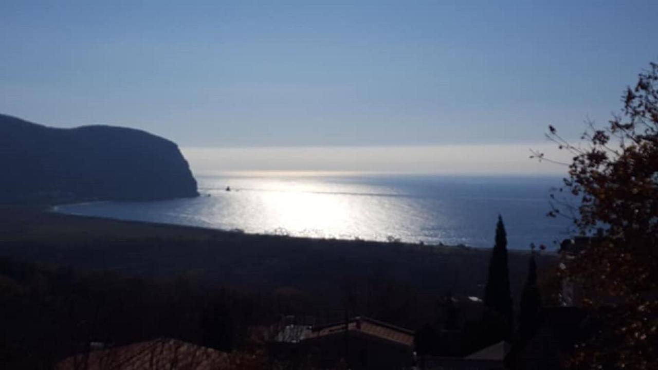 Apartments Tadic Petrovac Extérieur photo